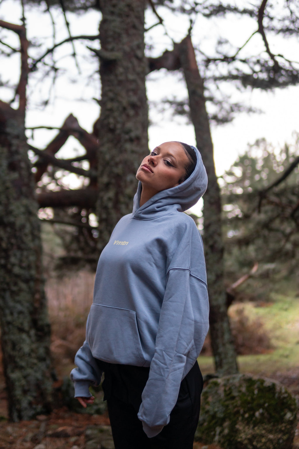 "VERTICAL YELLOW” BLUE GRAY BOXY HOODIE UNISEX