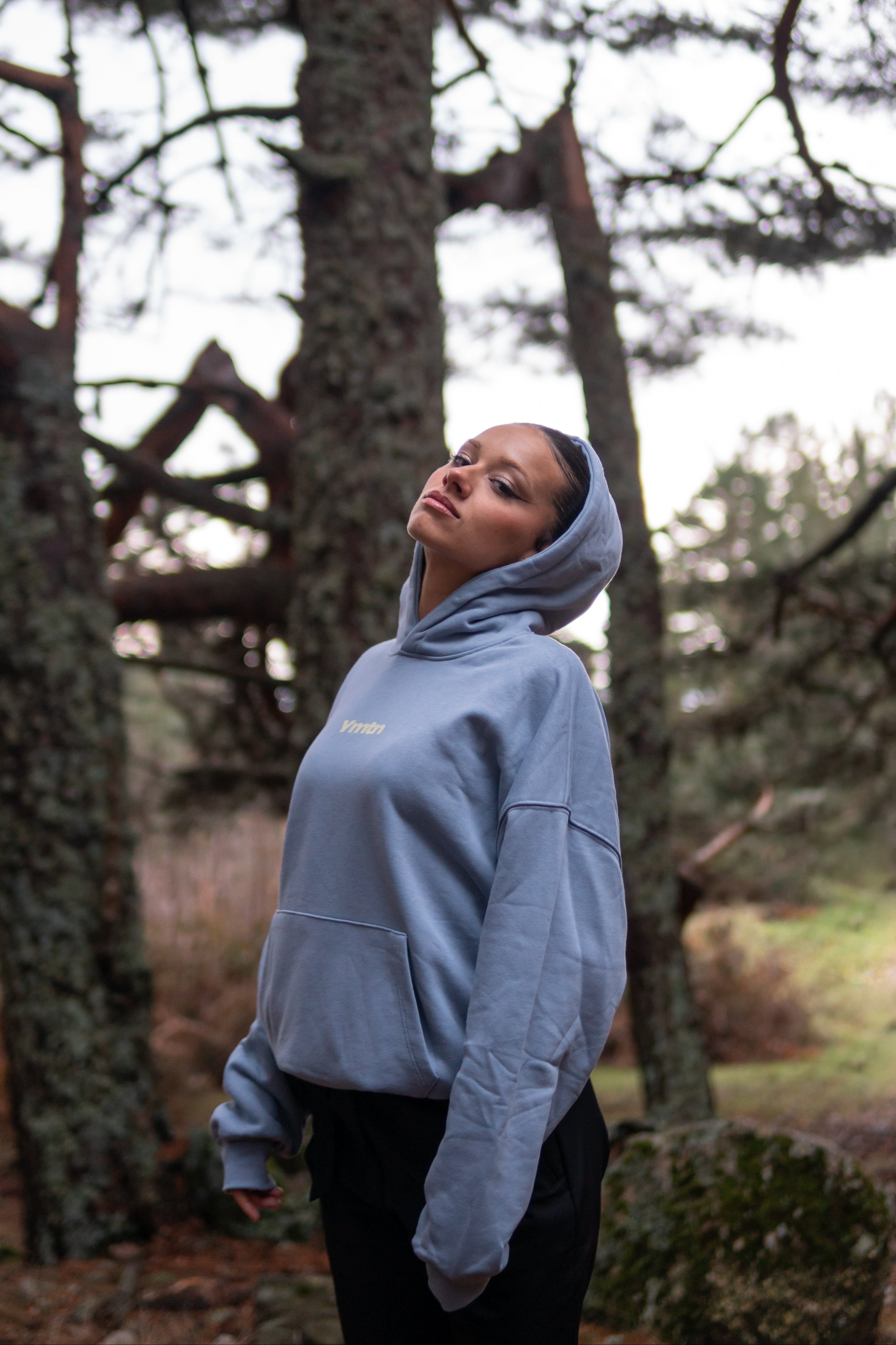 "VERTICAL YELLOW” BLUE GRAY BOXY HOODIE UNISEX